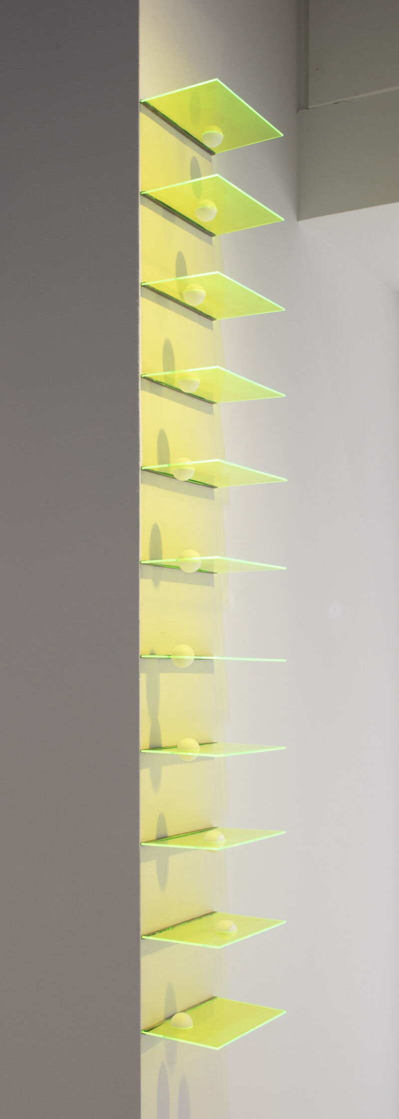 SPINE - a Sculpture & Installation by Beatrice Gallori